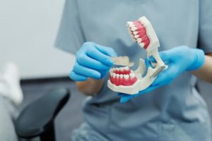 An orthodontist is holding a teeth model